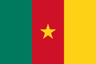 Flag_of_Cameroon.svg.png